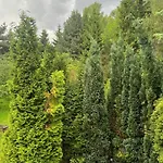 Zakatek * Piechowice (Karkonosze)