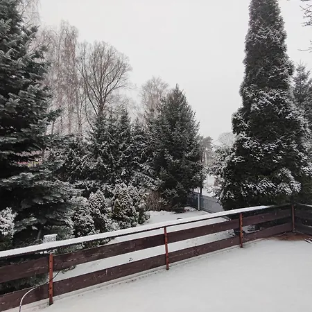 Проживание в семье Zakatek *