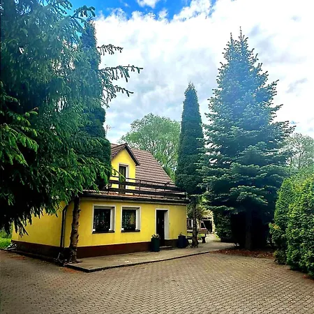 Проживание в семье Zakatek *