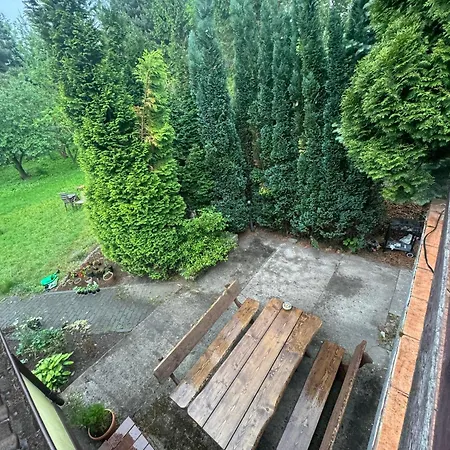 Проживание в семье Zakatek