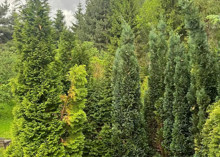 Zakatek * Piechowice (Karkonosze)